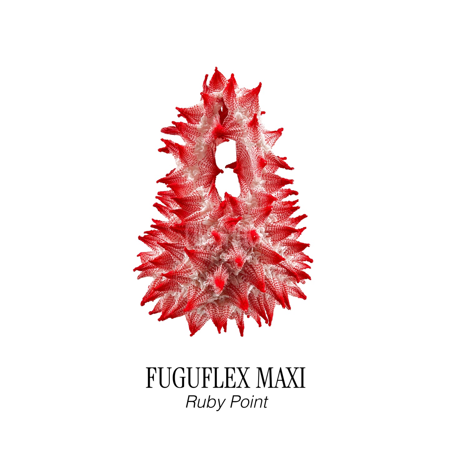 FUGUFLEX MAXI - RUBY POINT
