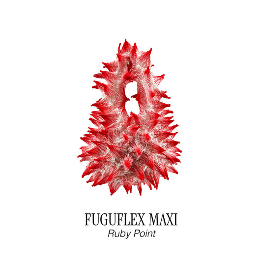 FUGUFLEX MAXI - RUBY POINT